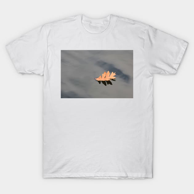 Leaf Adrift T-Shirt by tgass